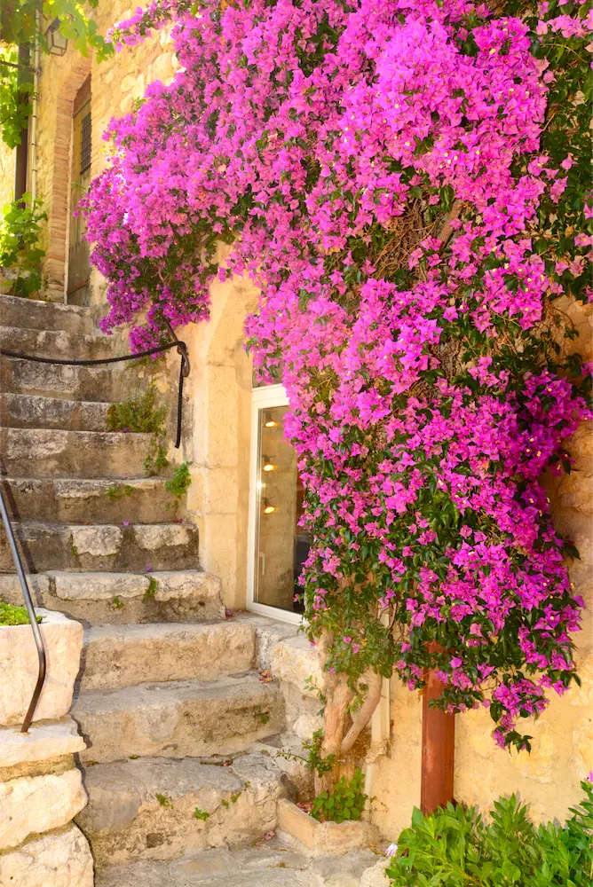 ACHAT BIEN IMMOBILIER