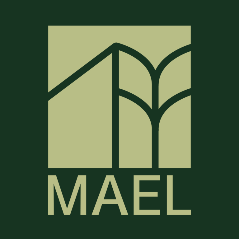 Agence MAEL