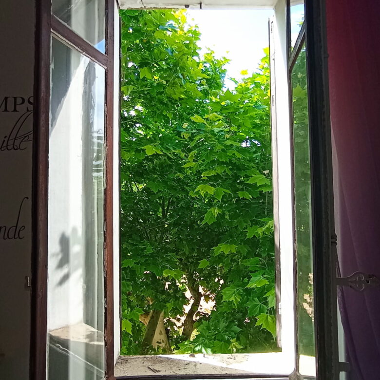 maison de maitre à rénover Aubagne avec platane