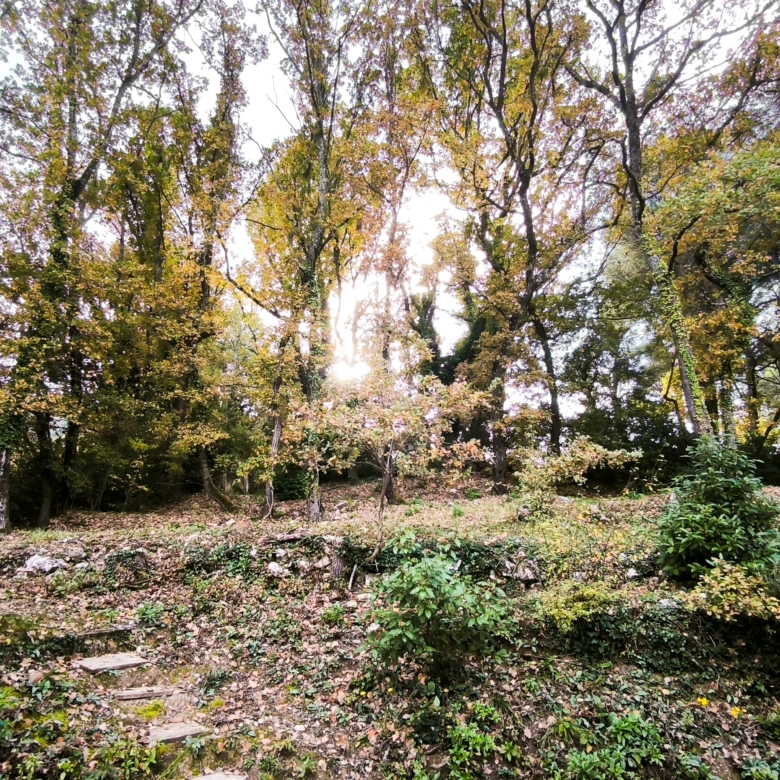 Maison à vendre Simiane Collongue jardin nature au Sud