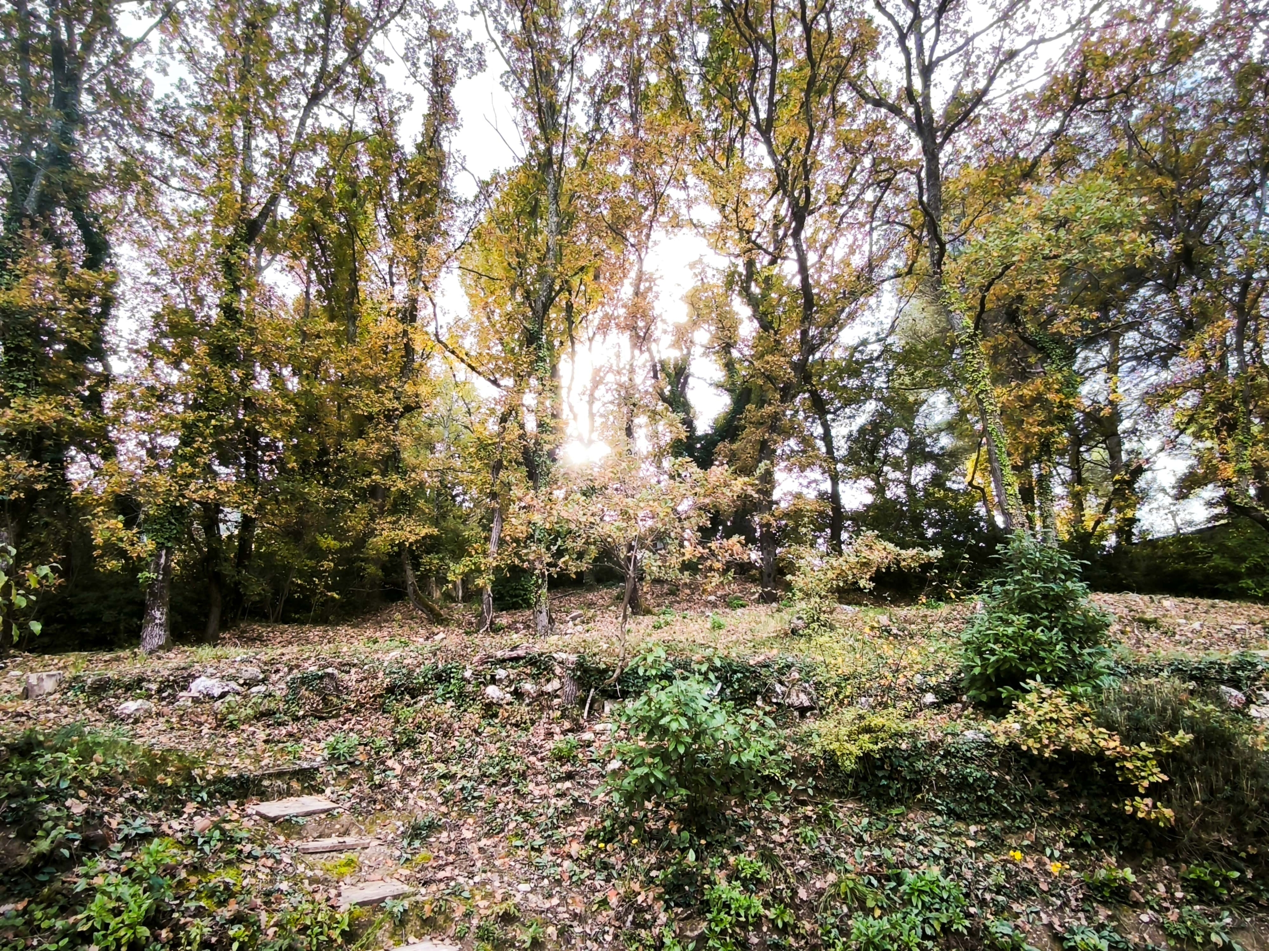 Maison à vendre Simiane Collongue jardin nature au Sud