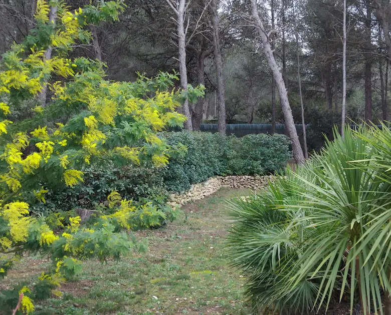 maison piscine à vendre Lambesc avec appartements grand jardin