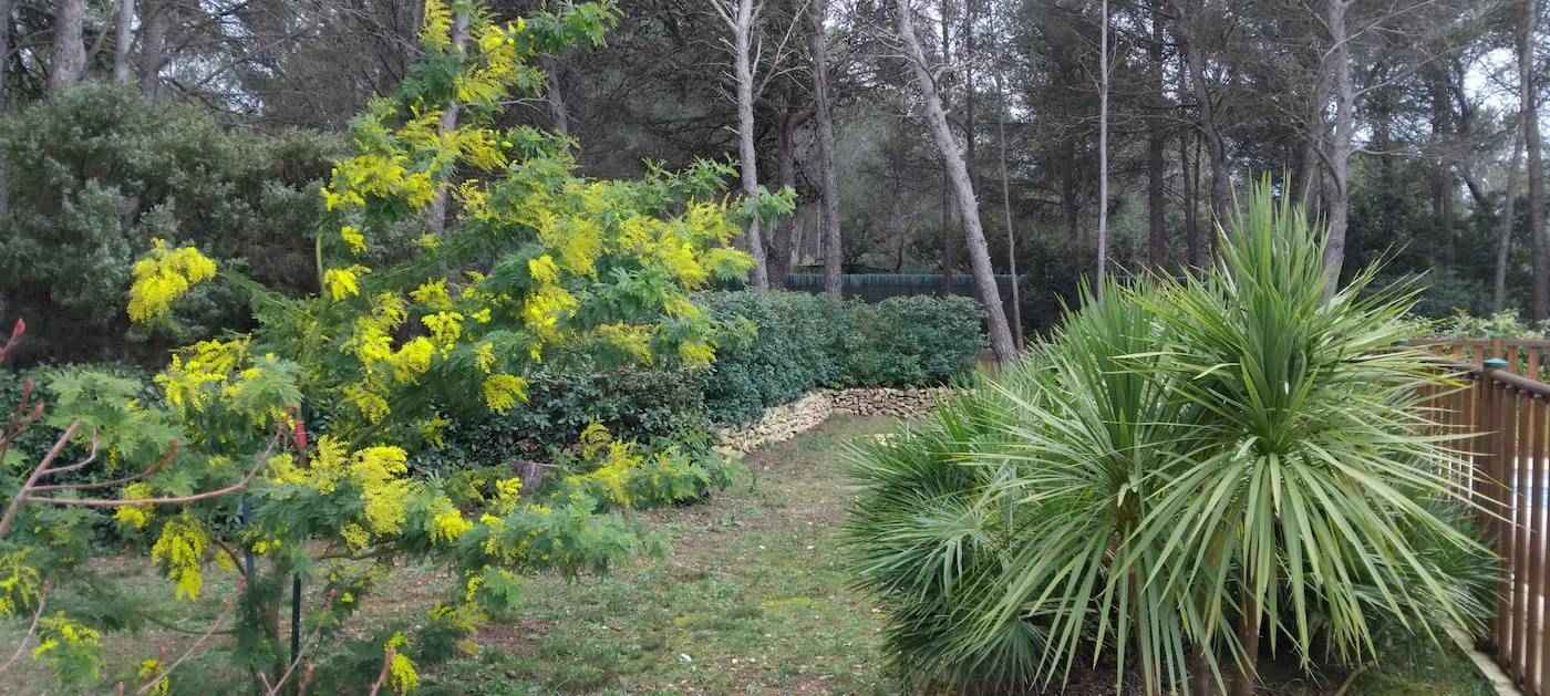 maison piscine à vendre Lambesc avec appartements grand jardin