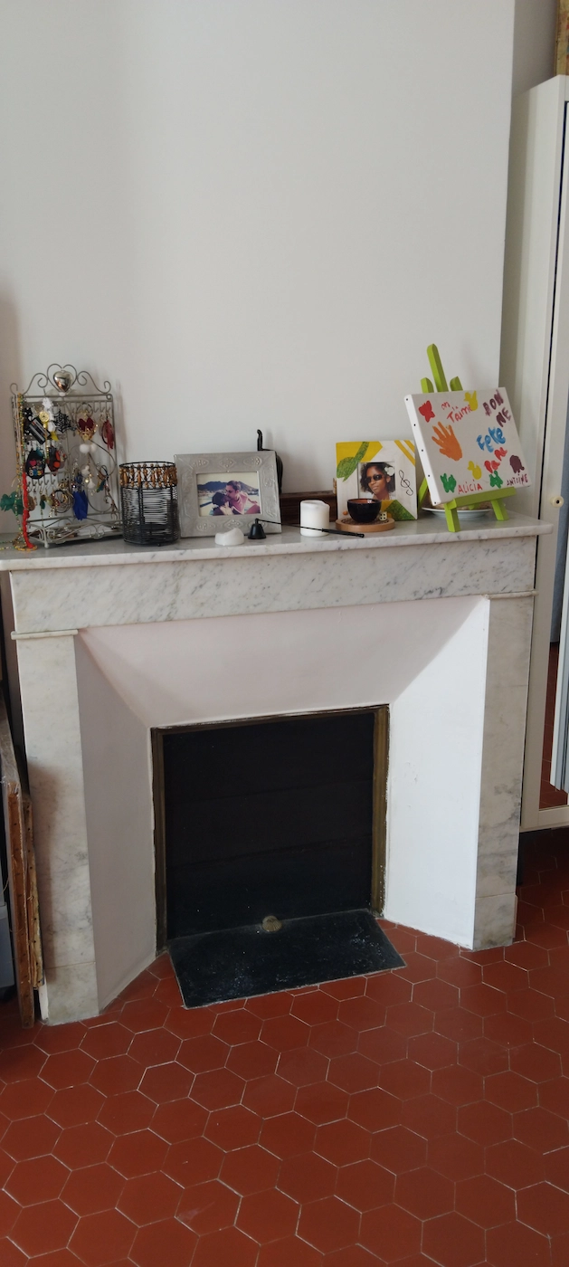 investissement locatif Septemes Les Vallons cheminee marbre blanc