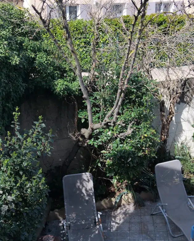 investissement locatif Septemes Les Vallons terrasse