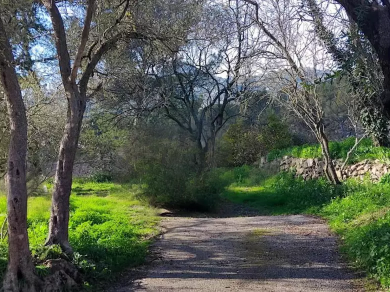 terrain arboré - a vendre - aubagne