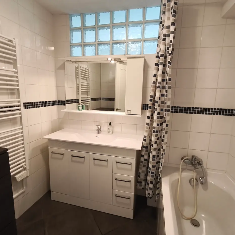 Appartement Marseille 8e Ste Anne à vendre sdb