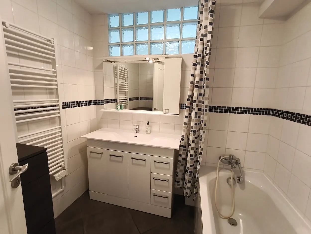 Appartement Marseille 8e Ste Anne à vendre sdb